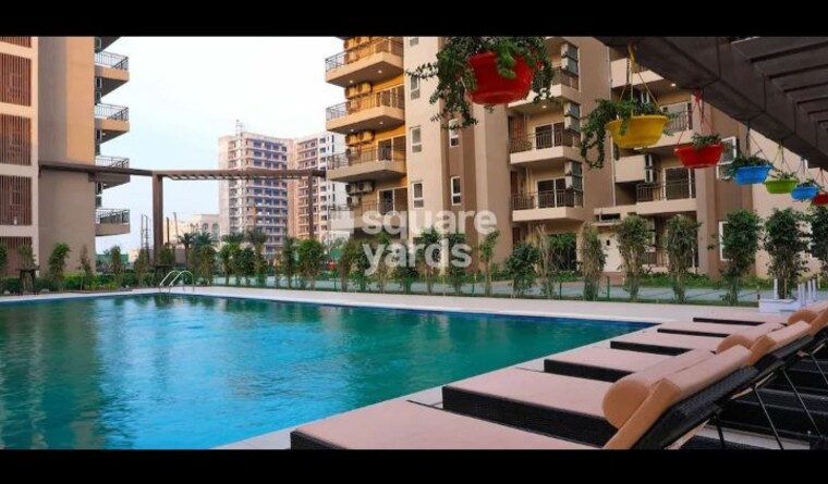 Swimming Pool, adani-m2k-oyster-grande 3.5 Bedroom 1689 Sq.Ft. Apartment In Sector 102 Gurgaon 10297243