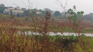 Plot Area in  Plot at Pen – for Sale