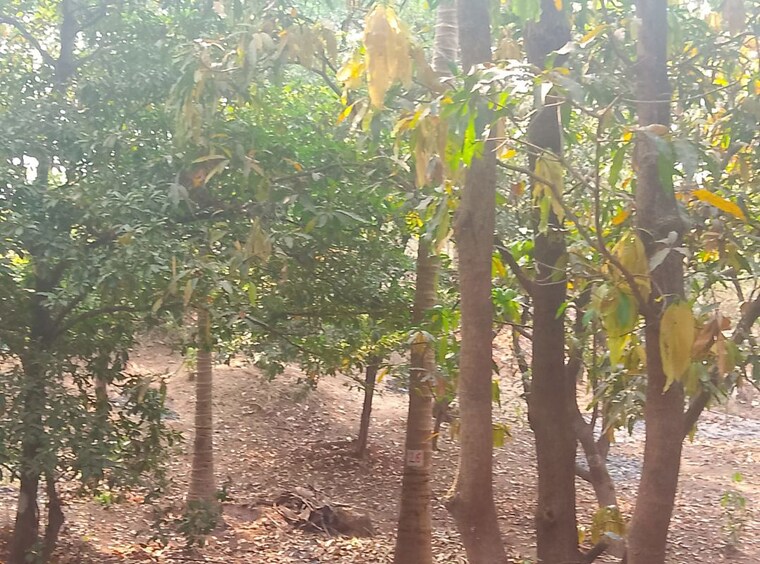 Garden, nere  1089 Sq.Ft. Plot In Nere Navi Mumbai 10297268