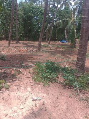 Plot Area in  Plot at Ayyanthole – for Sale