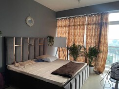 1 BHK Apartment For Rent in AVL 36 Gurgaon