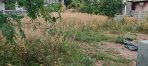 Plot Area in  Plot at Anchery – for Sale