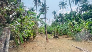 Plot Area in  Plot at Chiyyaram – for Sale