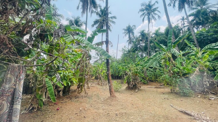 undefined, chiyyaram  7405 Sq.Ft. Plot In Chiyyaram Thrissur 10297827