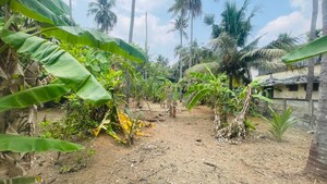 Plot Area in  Plot at Chiyyaram – for Sale