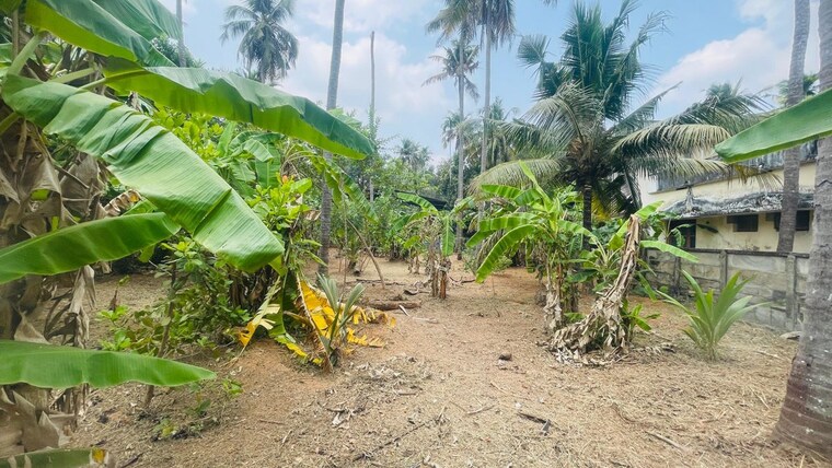 undefined, chiyyaram  7405 Sq.Ft. Plot In Chiyyaram Thrissur 10297827