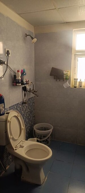 Bathroom in 3 BHK Apartment at Aims Golf Avenue I, Sector 75 – for Rent