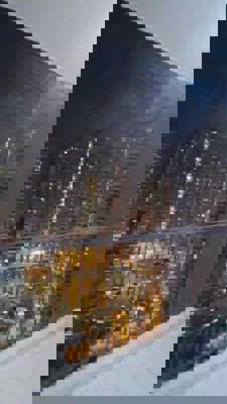 2 BHK Apartment For Rent in Panchsheel Greens II