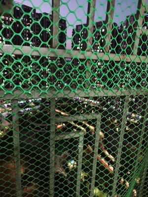 2 BHK Apartment – Exterior View View at Regency Anantam, Dombivli East - for Rent