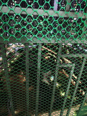 2 BHK Apartment – Map Location View at Regency Anantam, Dombivli East - for Rent