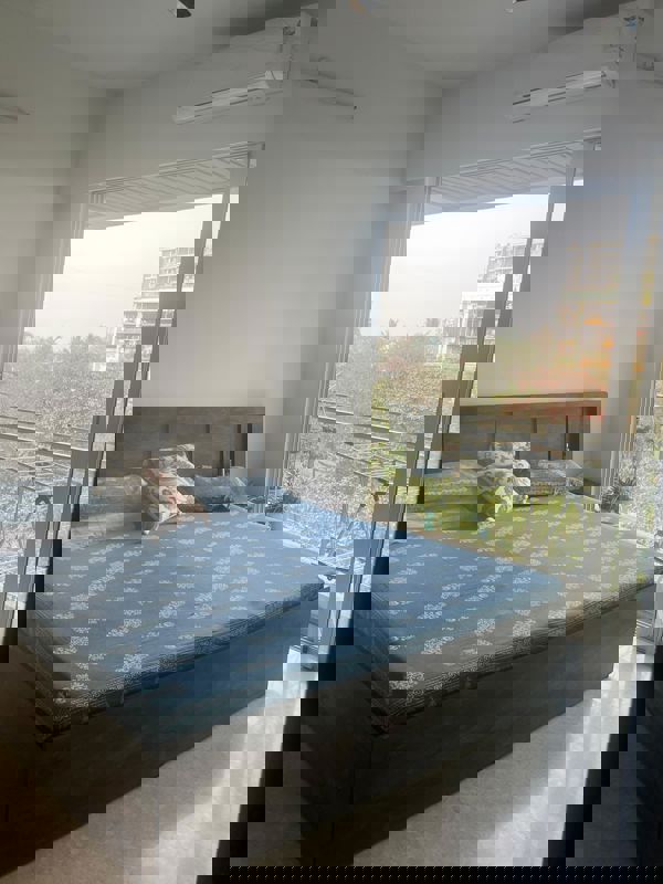 3 BHK Apartment For Rent in The Wadhwa The Nest