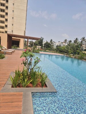 Swimming Pool in 3 BHK Apartment at Thanisandra – for Rent