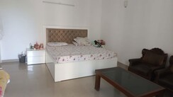 3.5 BHK + Servant Room Apartment For Rent in Ardee City Palm Grove Heights