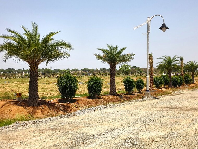 Garden, aroor  267 Sq.Yd. Plot In Aroor Sadashivpet 10292857
