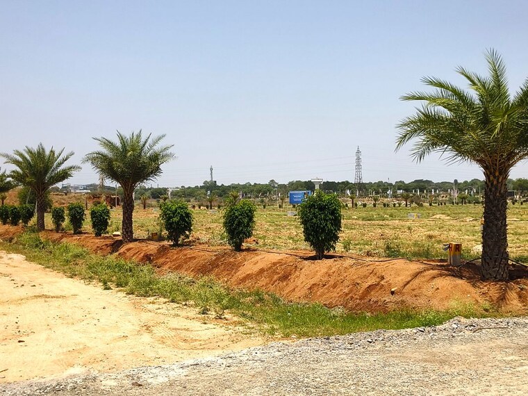 undefined, aroor  222 Sq.Yd. Plot In Aroor Sadashivpet 10292737