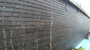 Plot Area in 2 BHK Apartment at Jyoti Sukriti, Goregaon East – for Rent