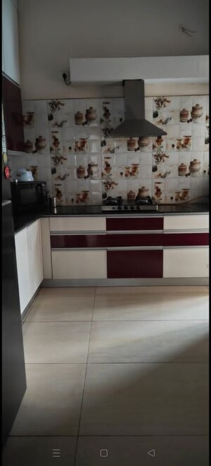 Kitchen in 3.5 BHK Apartment at Gaur Sportswood, Sector 79 – for Rent