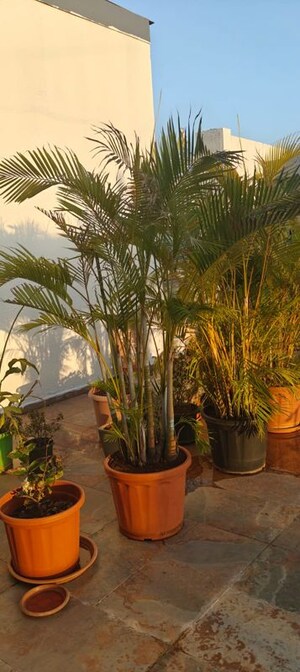 Gym in 5 BHK Penthouse at Marvel Cascada, Balewadi – for Rent