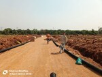 100 Sq.Yd. Plot in Shadnagar