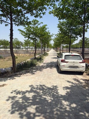   Plot at Banthra Sikander Pur – for Sale