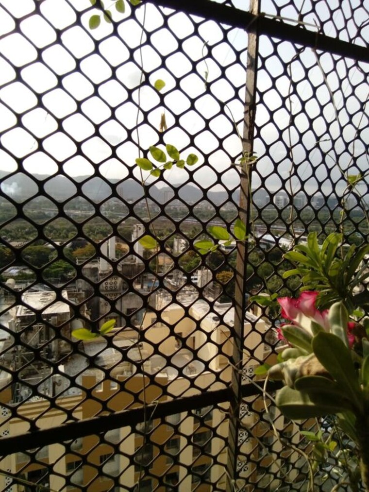  Parking, thane west 1.5 Bedroom 790 Sq.Ft. Apartment In Thane West Thane 10301341