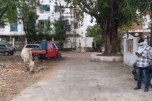 Plot Area in  Plot at Manish Nagar – for Sale