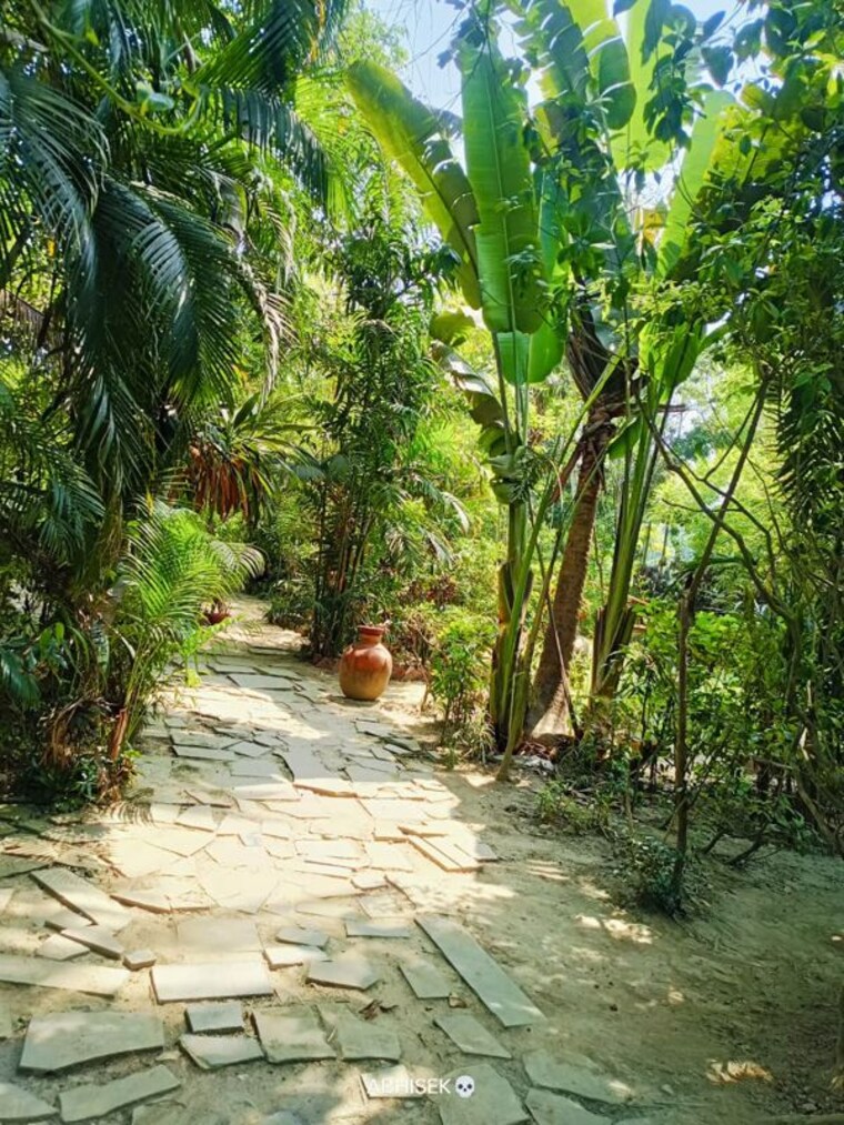 Garden, bakrahat 2.5 Bedroom 25001 Sq.Ft. Villa In Bakrahat Kolkata 10301729