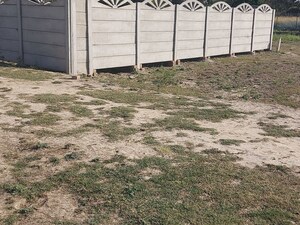 Plot Area in  Plot at Mohanlalganj – for Sale