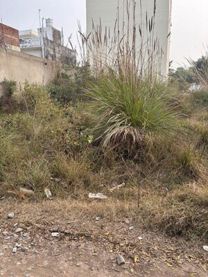  Plot For Sale in Ansal Housing East End, Tronica City