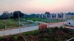 100 Sq.Yd. Plot in Rohta