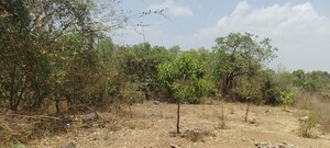 Plot Area in  Land at A D Sivana, Murbad – for Sale