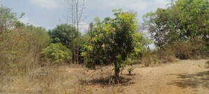 Plot Area in  Land at A D Sivana, Murbad – for Sale