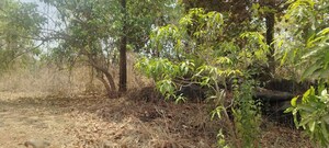 Plot Area in  Land at A D Sivana, Murbad – for Sale