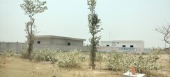 Plot For Sale in Yamuna Expressway