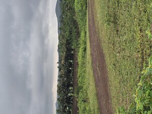 Plot Area in  Plot at Aerocity – for Sale