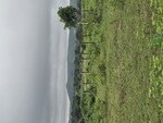 151 Sq.Yd. Plot in Aerocity