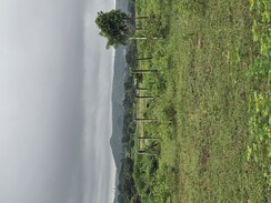 Plot For Sale in Aerocity