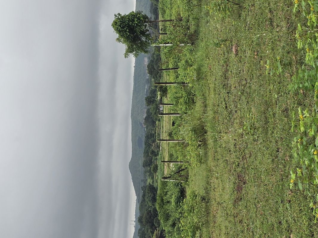 Plot For Sale in Aerocity