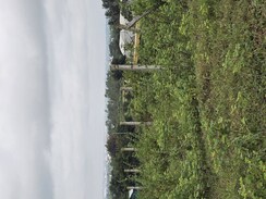 Plot For Sale in Aerocity