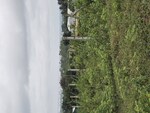 1365 Sq.Ft. Plot in Aerocity