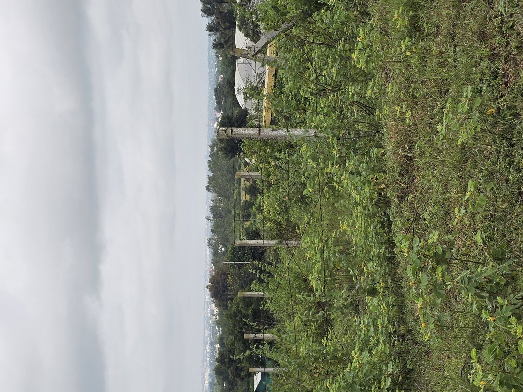 Plot For Sale in Aerocity