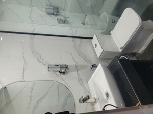 Bathroom in 1.5 BHK Apartment at Pitampura – for Rent