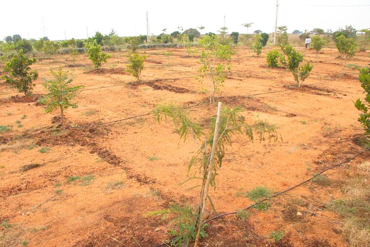 undefined, trinity-the-capital  604 Sq.Ft. Plot In Kandukur Hyderabad 10297988