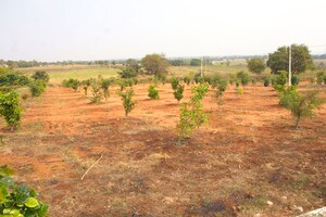  Plot For Sale in Kandukur