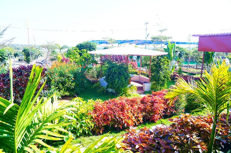 Garden, kandukur  242 Sq.Yd. Plot In Kandukur Hyderabad 10303242