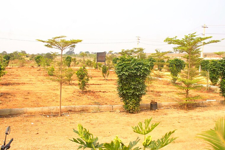 Garden, kandukur  242 Sq.Yd. Plot In Kandukur Hyderabad 10303242
