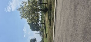  Plot For Sale in Greater Mohali