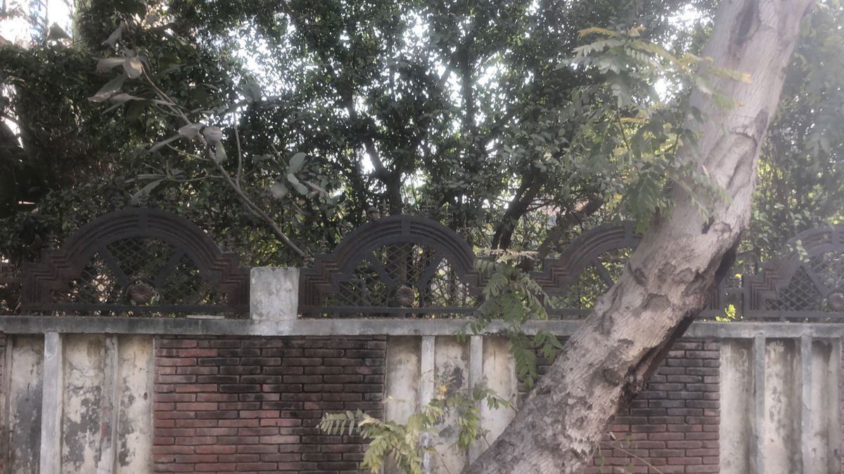 Plot For Sale in Sigma II Greater Noida
