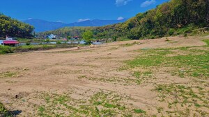 Plot Area in  Plot at Paundha – for Sale