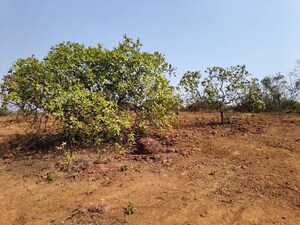 Plot Area in  Plot at Wagholi – for Sale